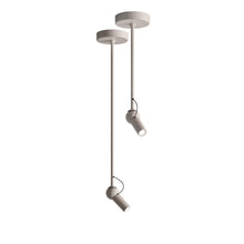 Load image into Gallery viewer, Bird Ceiling Light - 3 Sizes + Colours