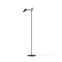 Load image into Gallery viewer, Bird Floor Lamp - 3 Colours