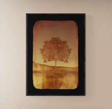 Load image into Gallery viewer, Copper Tree Fine Art Photography by Louise O&#39;Gorman