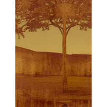 Load image into Gallery viewer, Copper Tree Fine Art Photography by Louise O&#39;Gorman