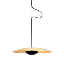 Load image into Gallery viewer, Ginger Metal Pendant Light