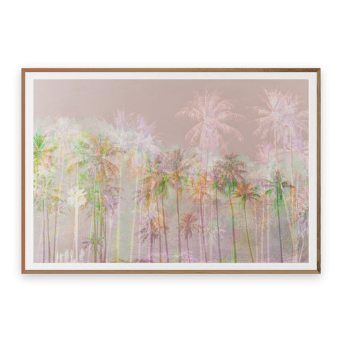 Tropical Harmony Fine Art Photography by Louise O'Gorman